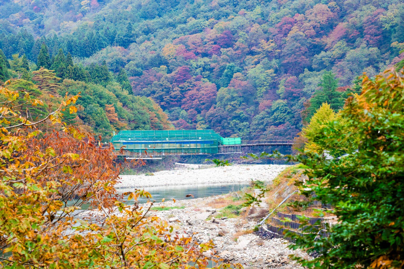 荒川峡もみじラインの紅葉