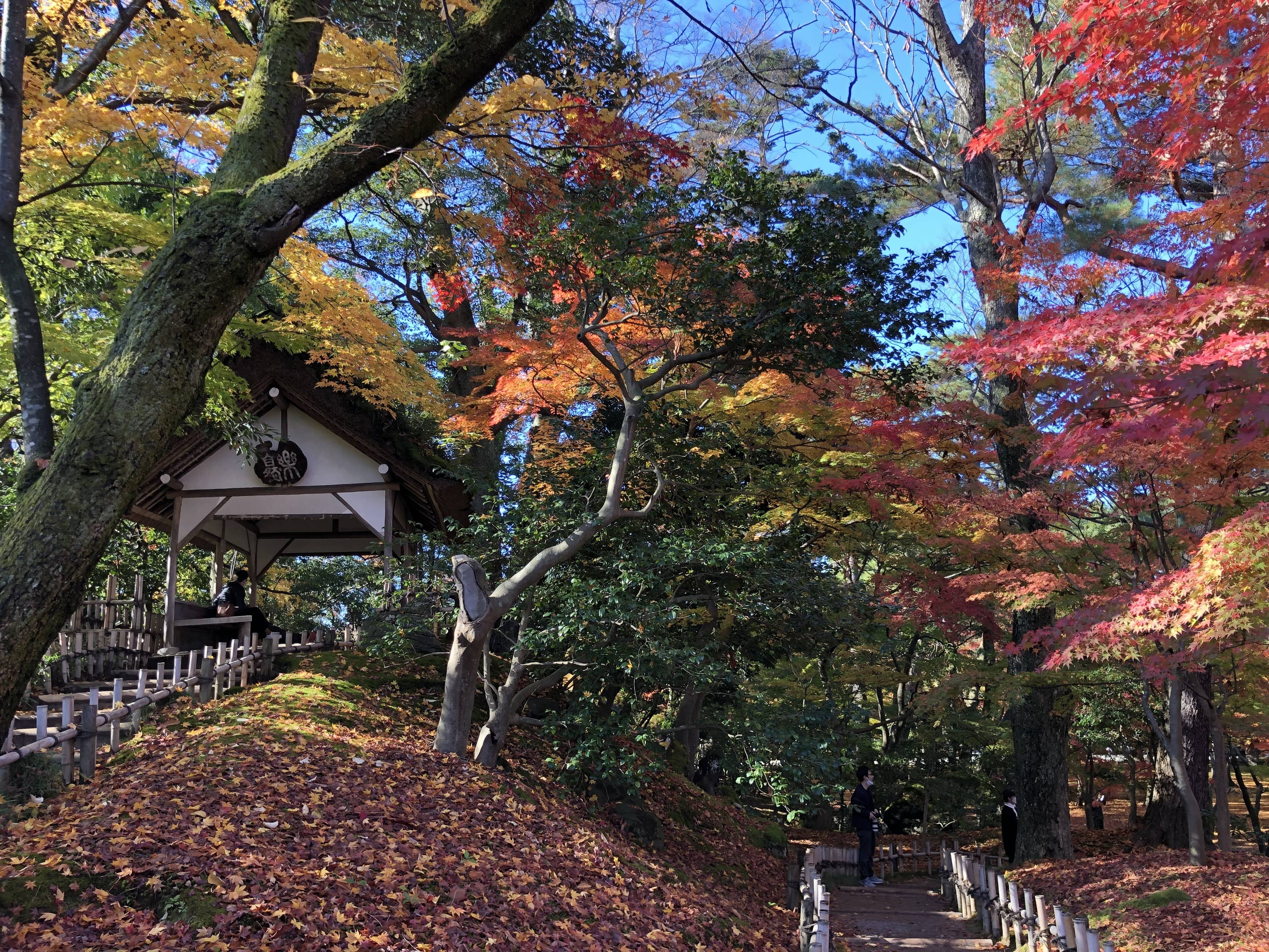 兼六園の紅葉