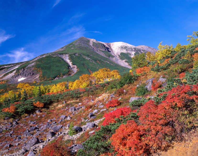 乗鞍岳の紅葉