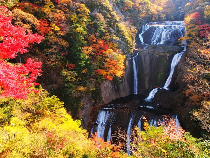 袋田の滝の紅葉