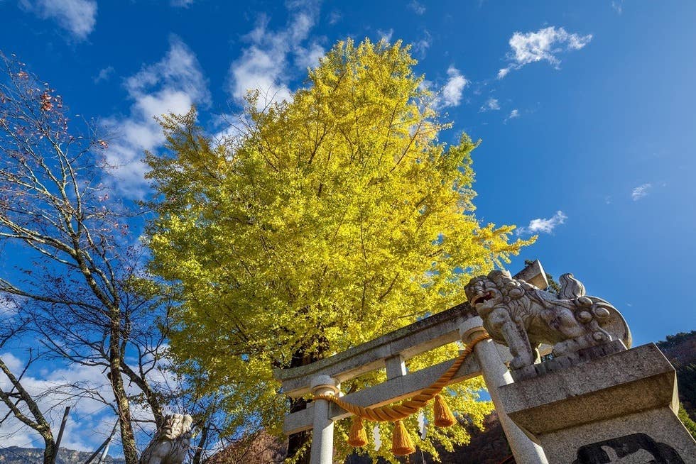 熊野神社