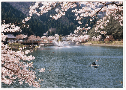 伊自良湖の桜 / 岐阜県 -【JAPAN 47 GO】