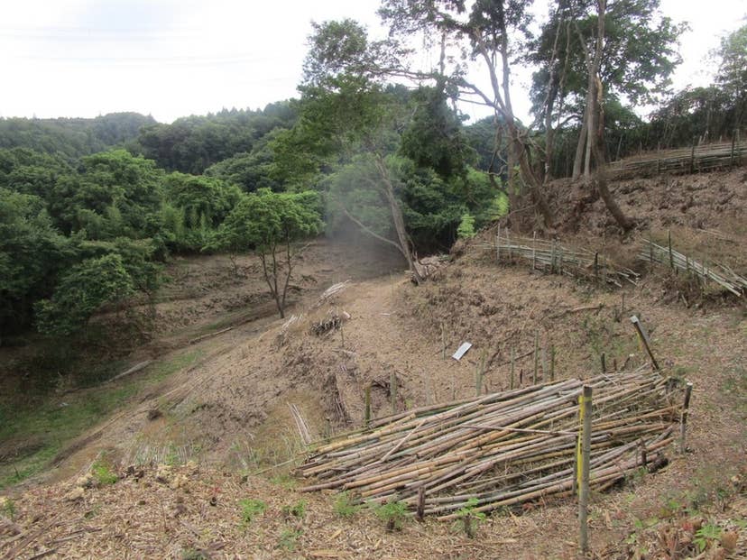 南西斜面の切岸