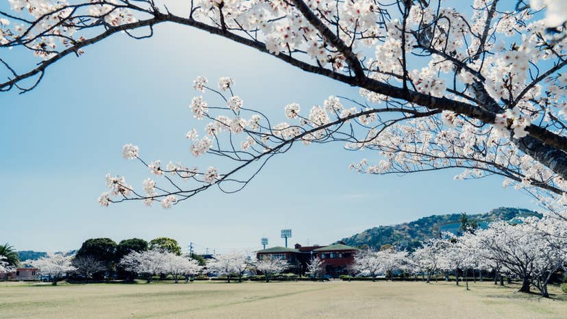 市民の森公園