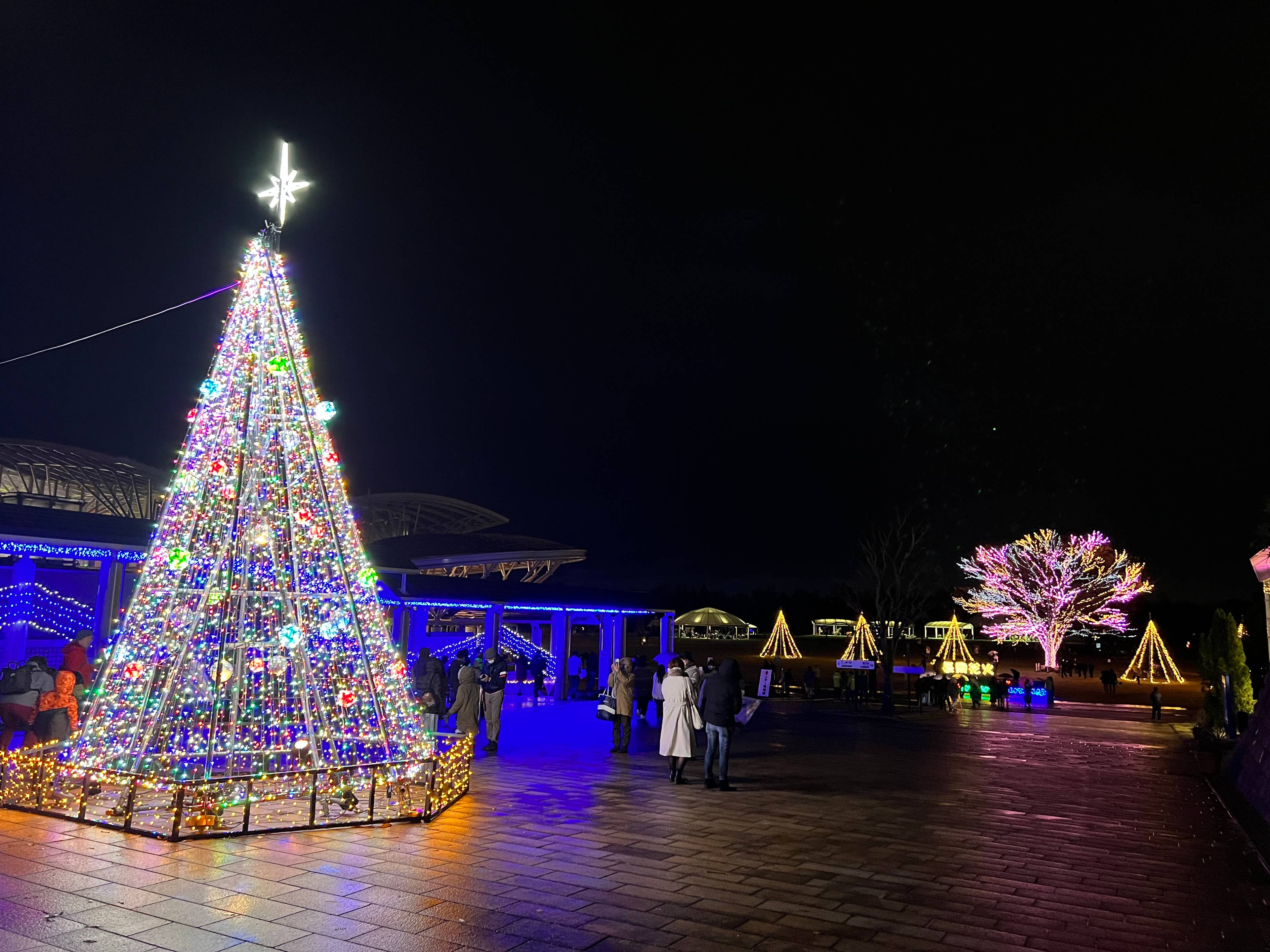 国営越後丘陵公園　Xmasキャンドルナイト