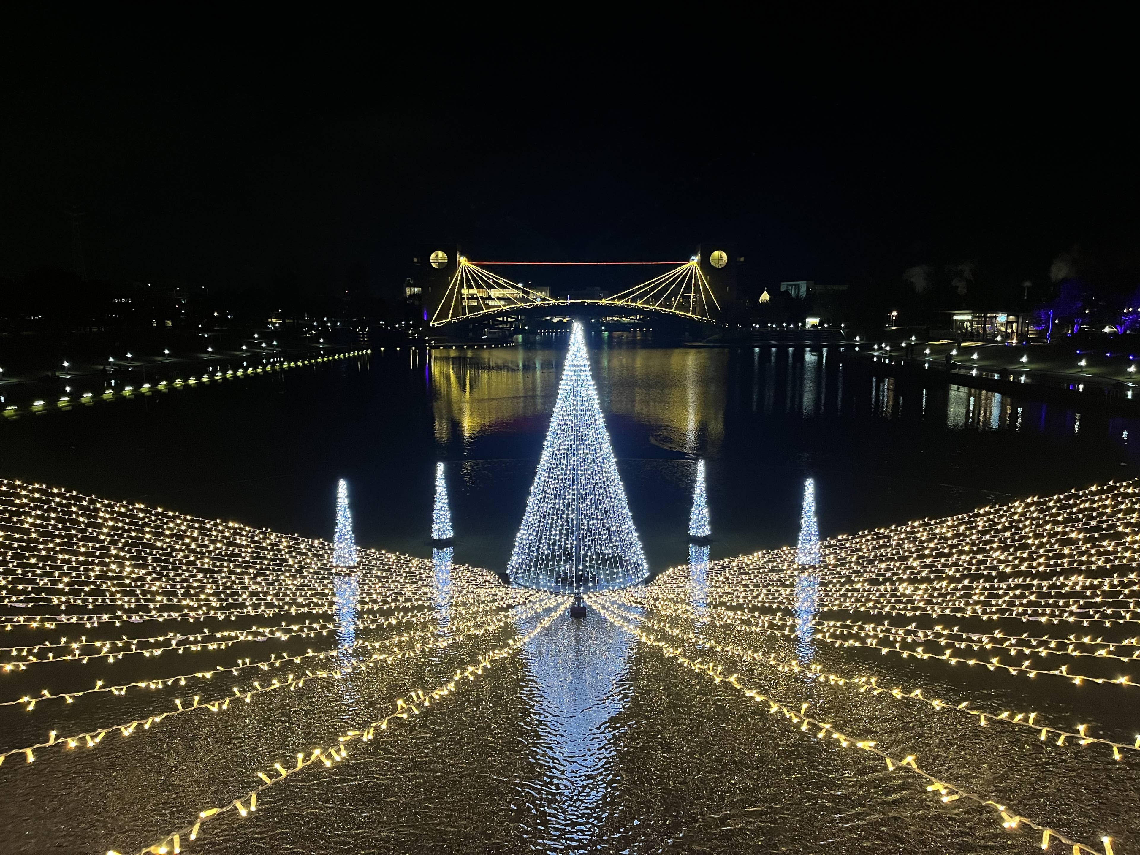 環水公園スイートイルミネーション2024