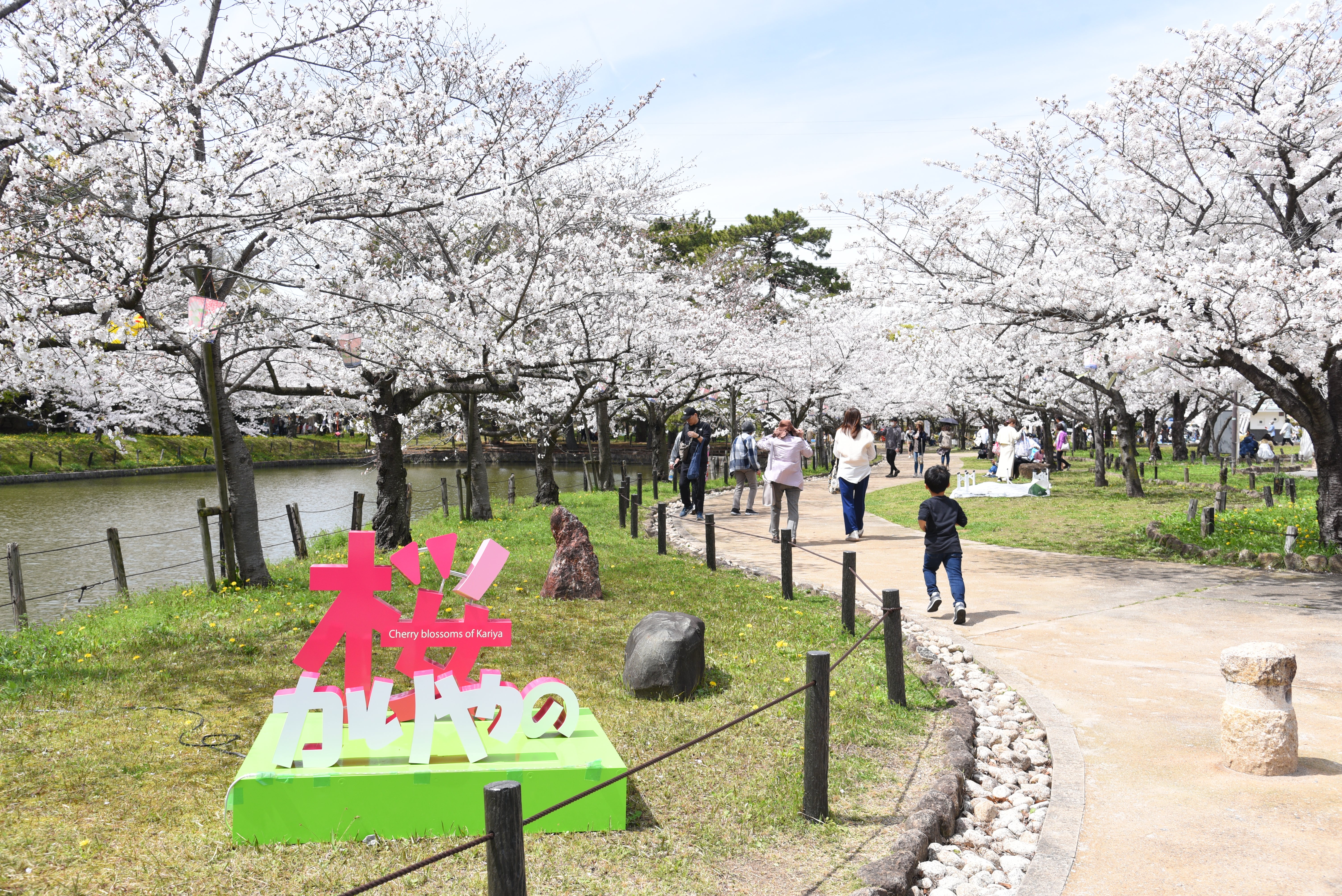 神村 109175_ext_6_1.jpg