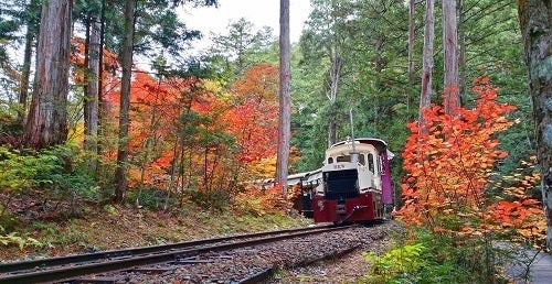 木曽森林鉄道記念館 / 長野県 -【JAPAN 47 GO】