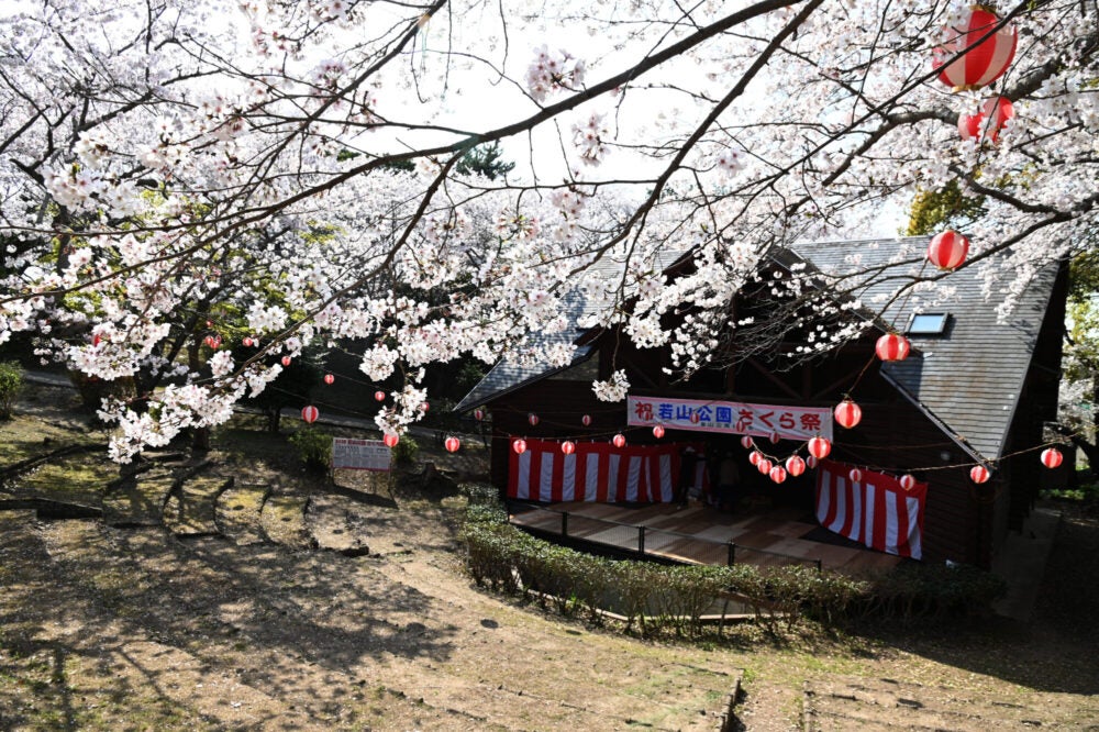 桜・お花見特集 2025 -【JAPAN 47 GO】
