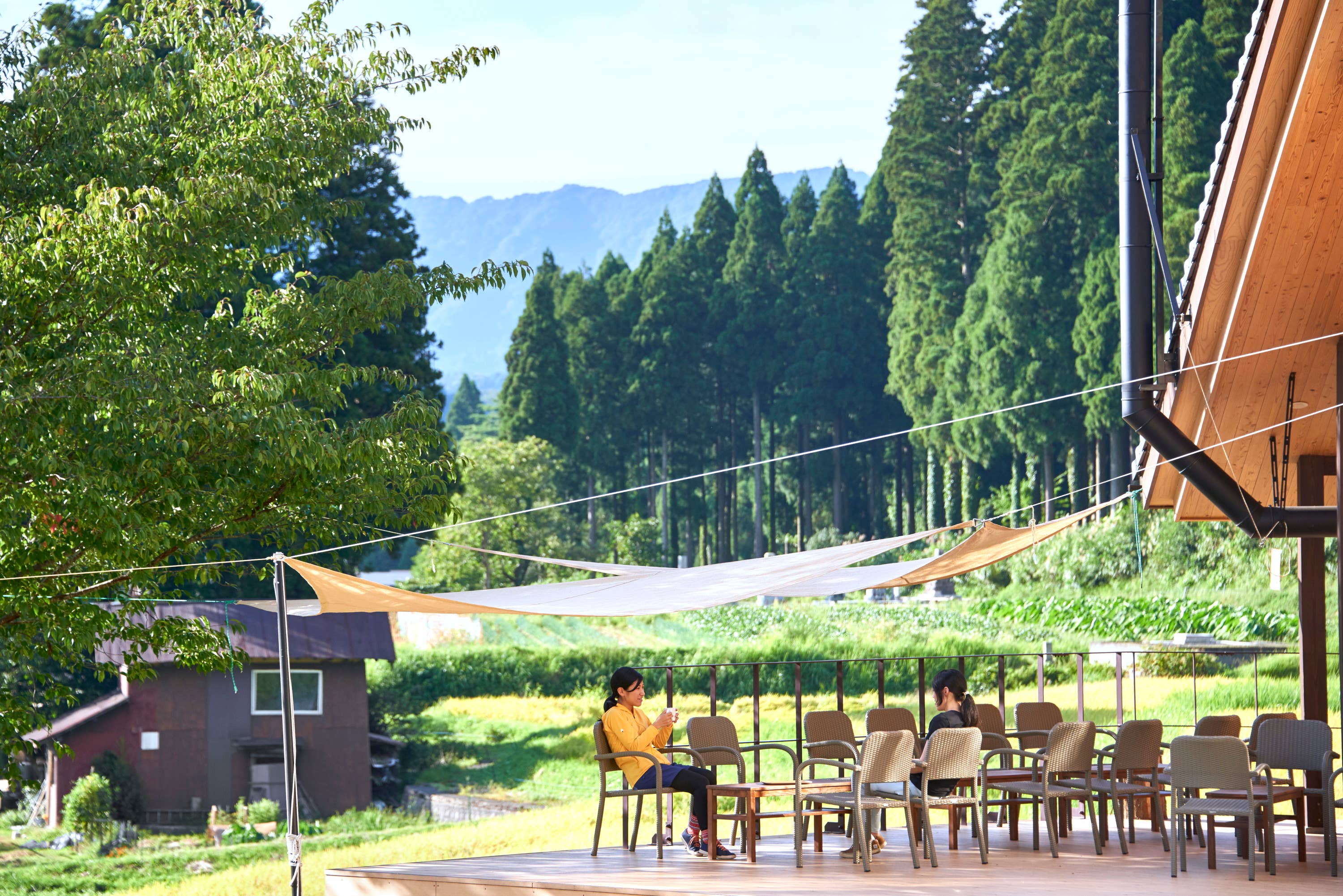 Cafe