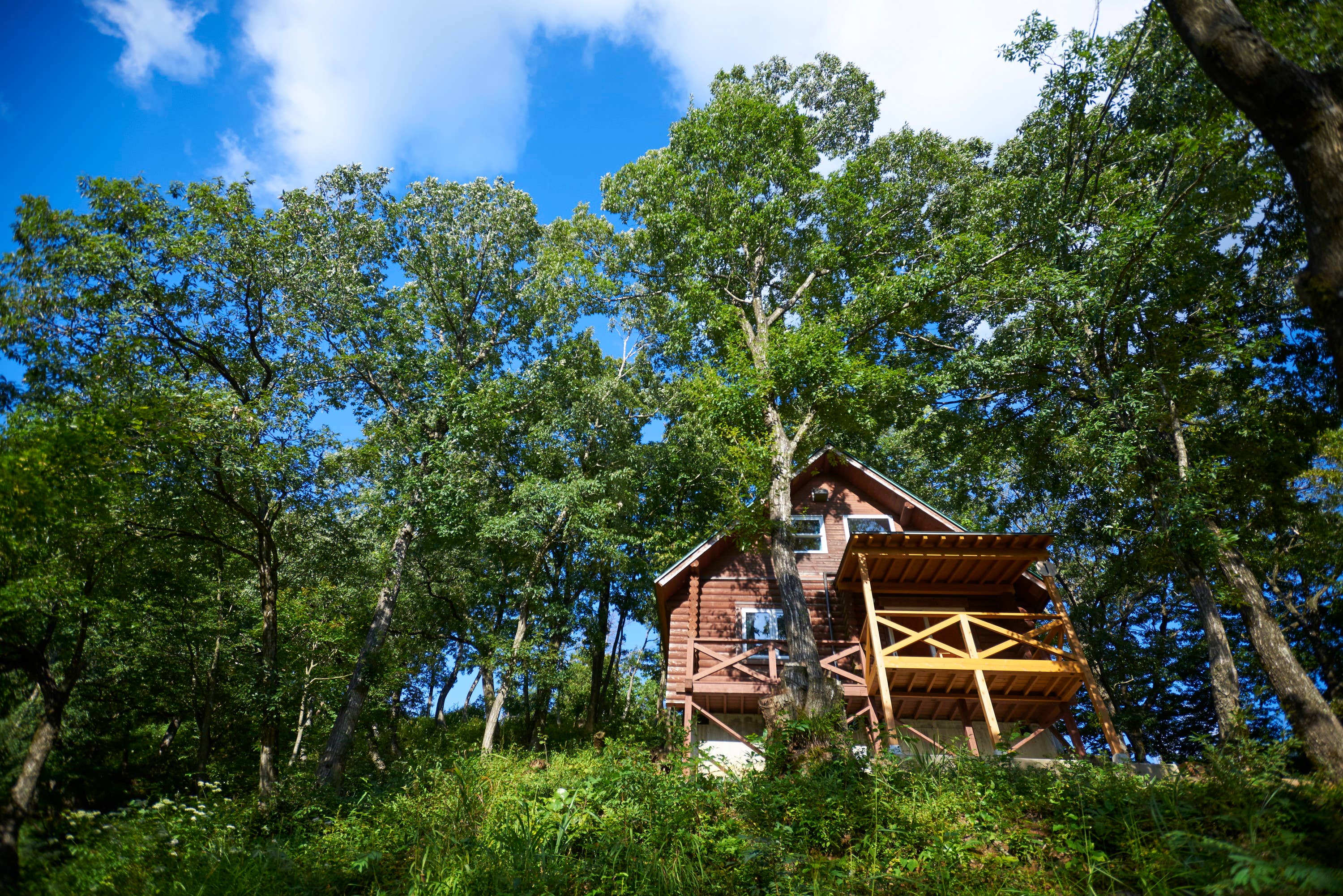Cottage