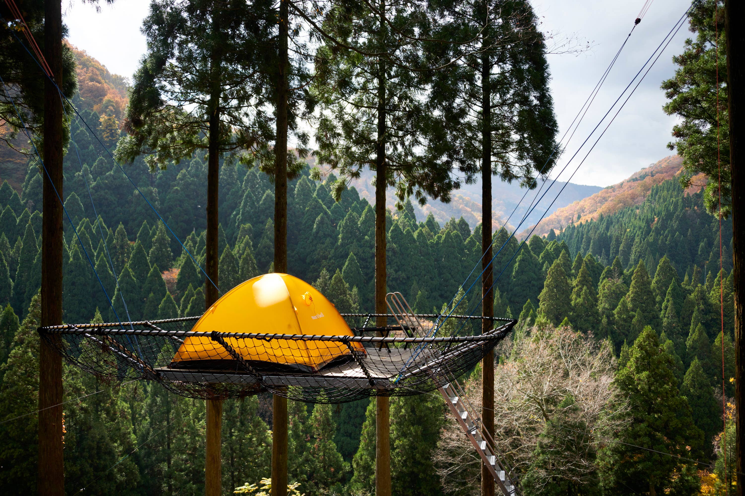 Tent on trees