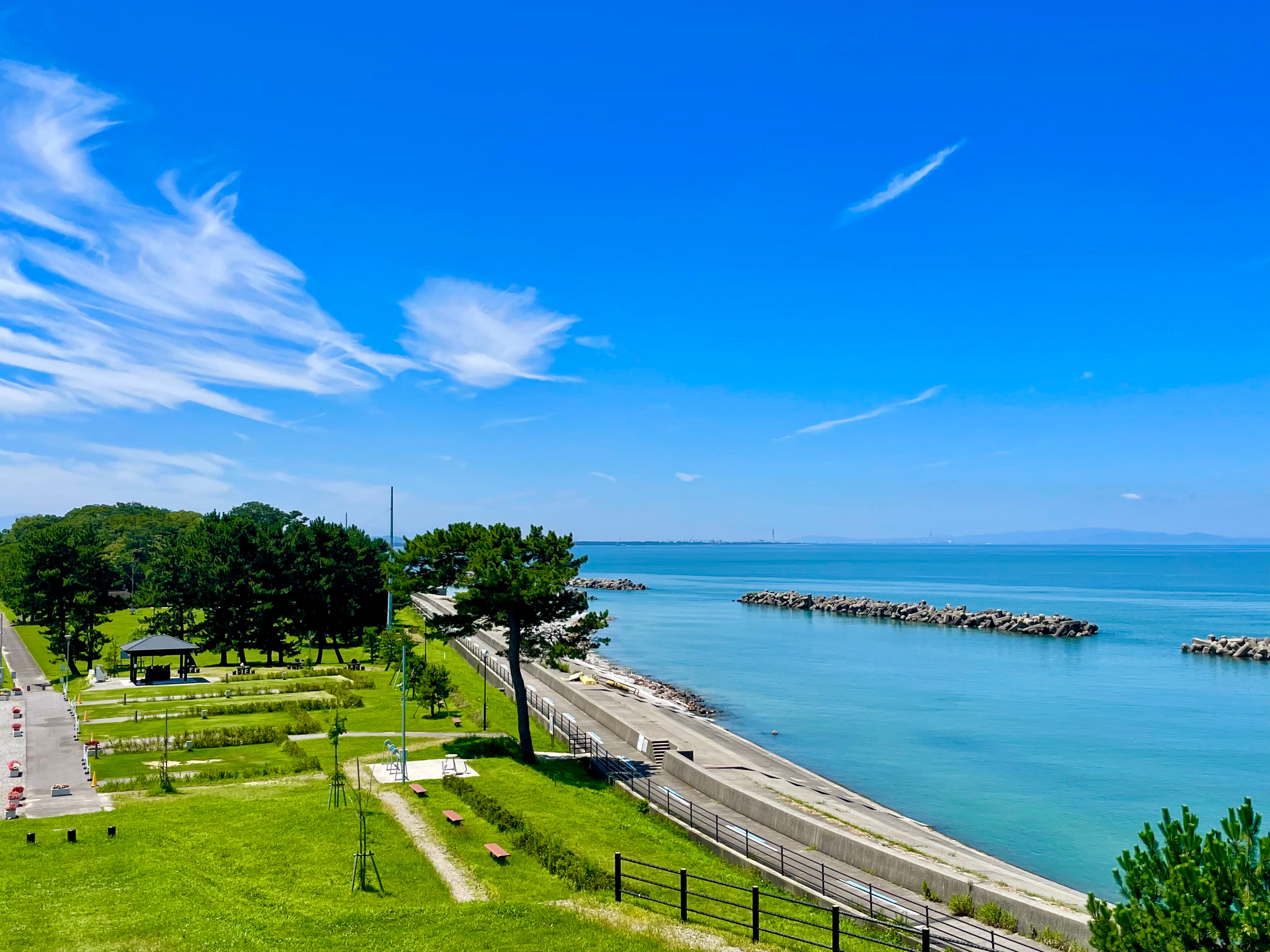 海浜公園キャンプ場のサイト風景