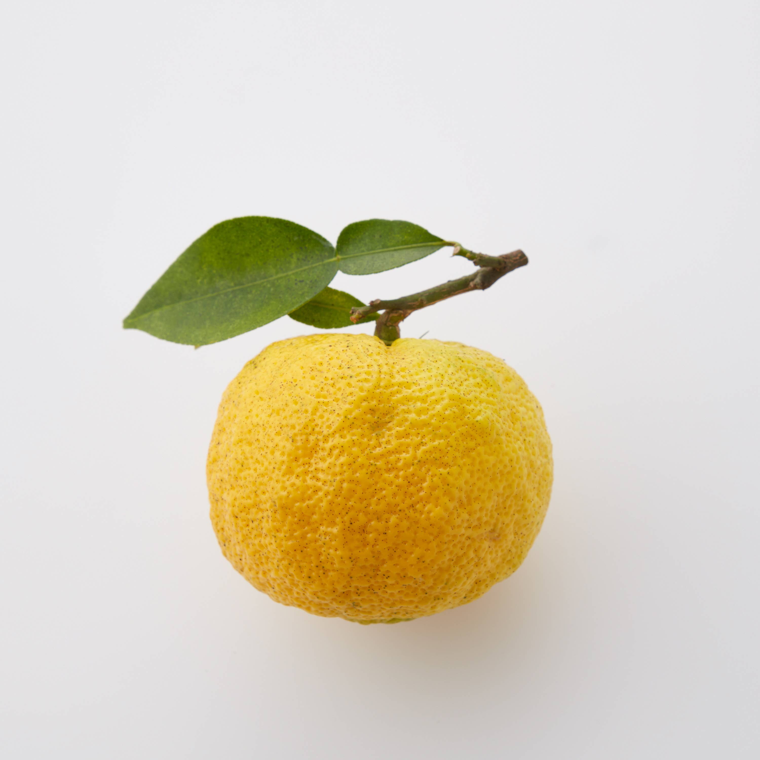 Yuko Kokuzo (fruit)