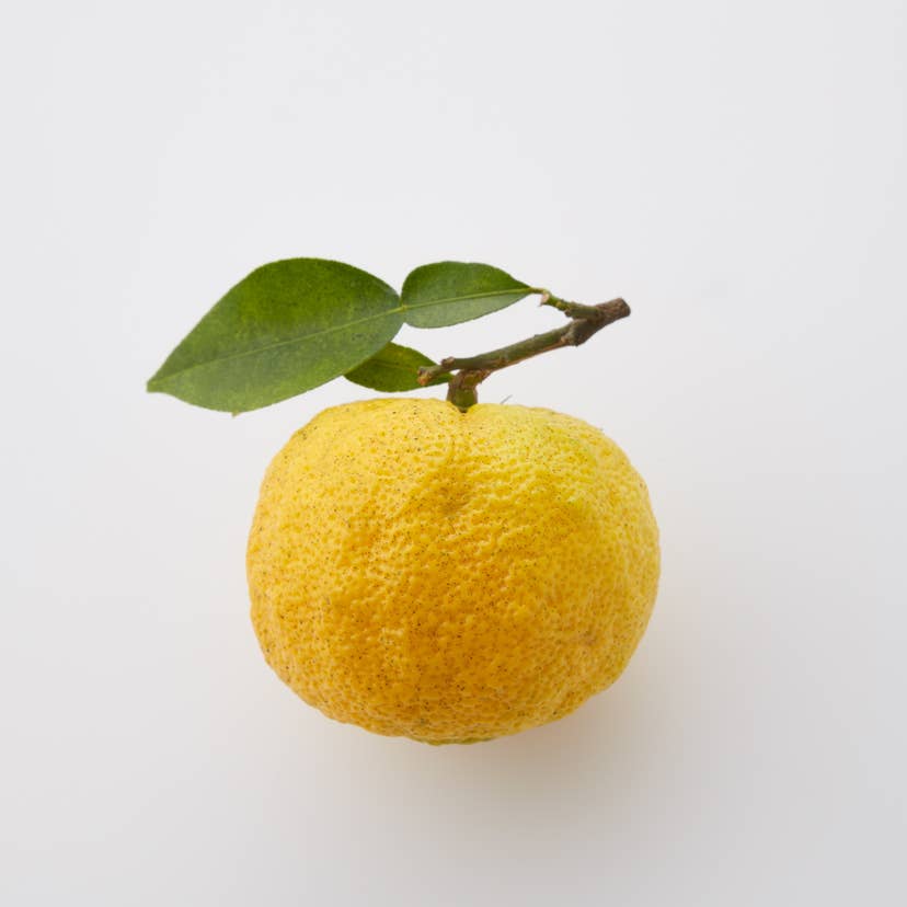 Yuko Kokuzo (fruit)