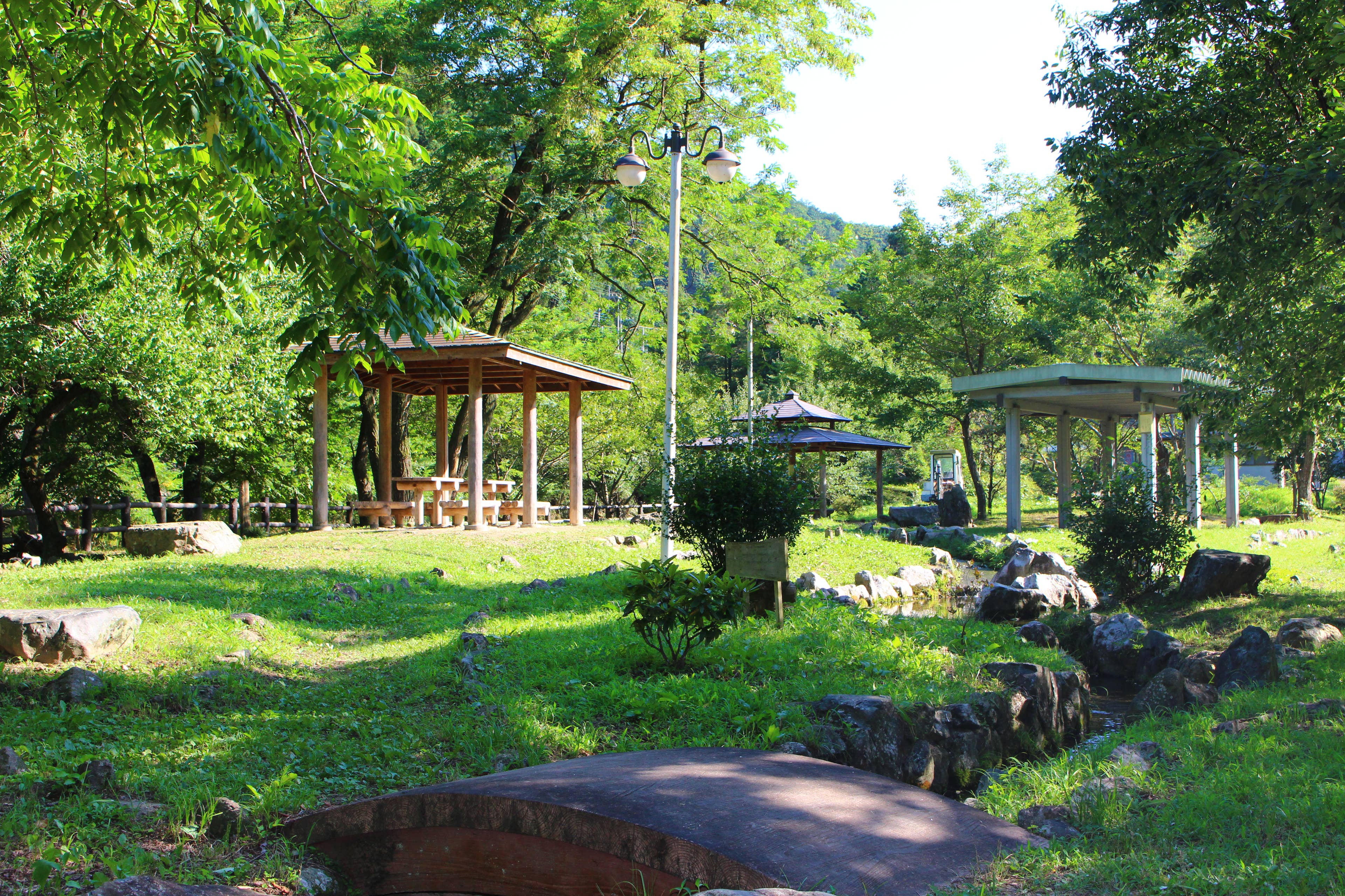 Park scenery