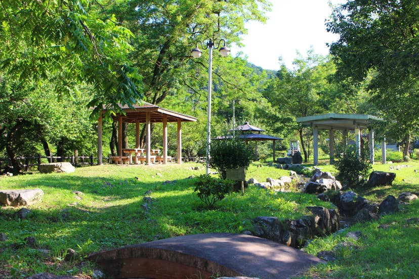 Park scenery