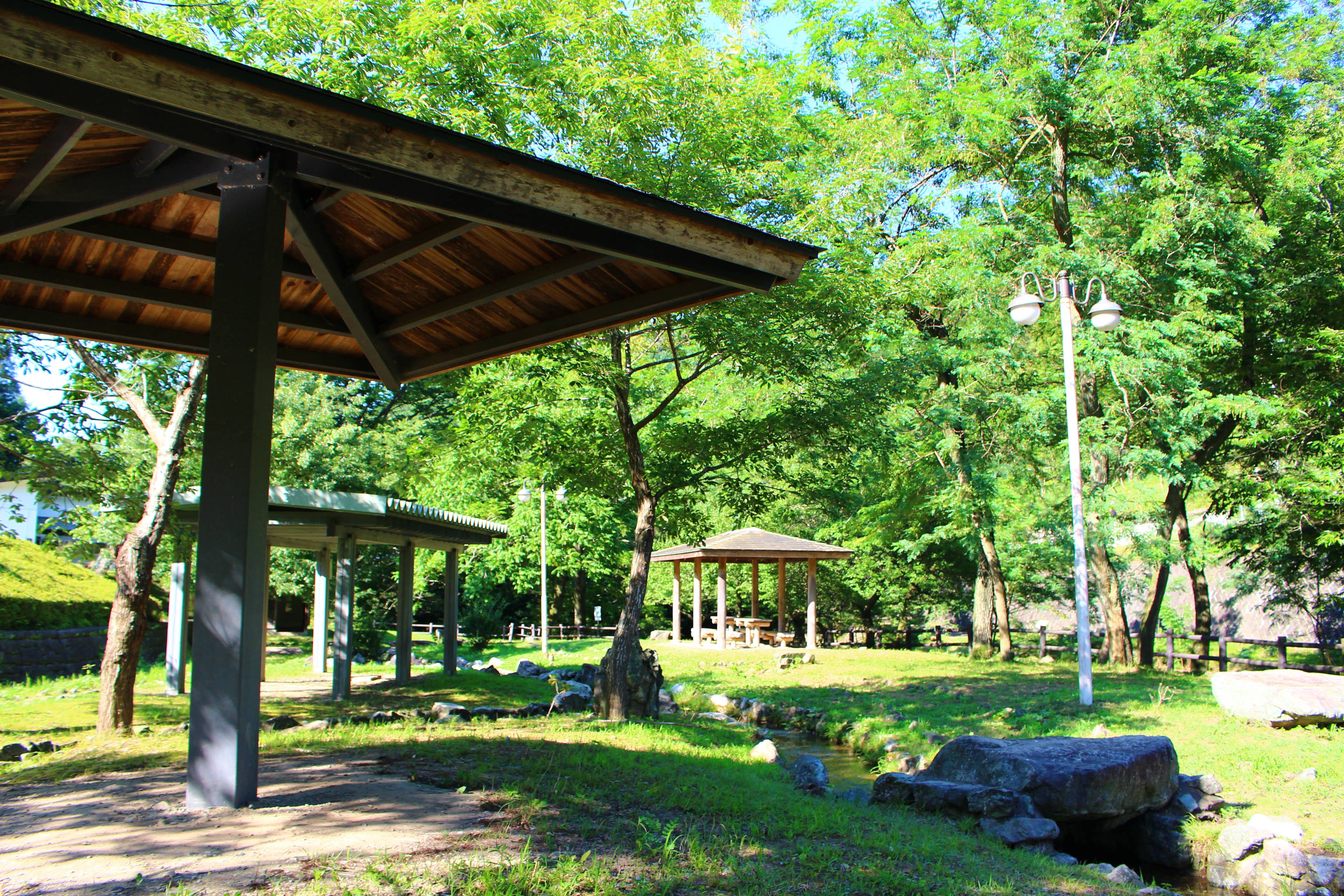 Park scenery
