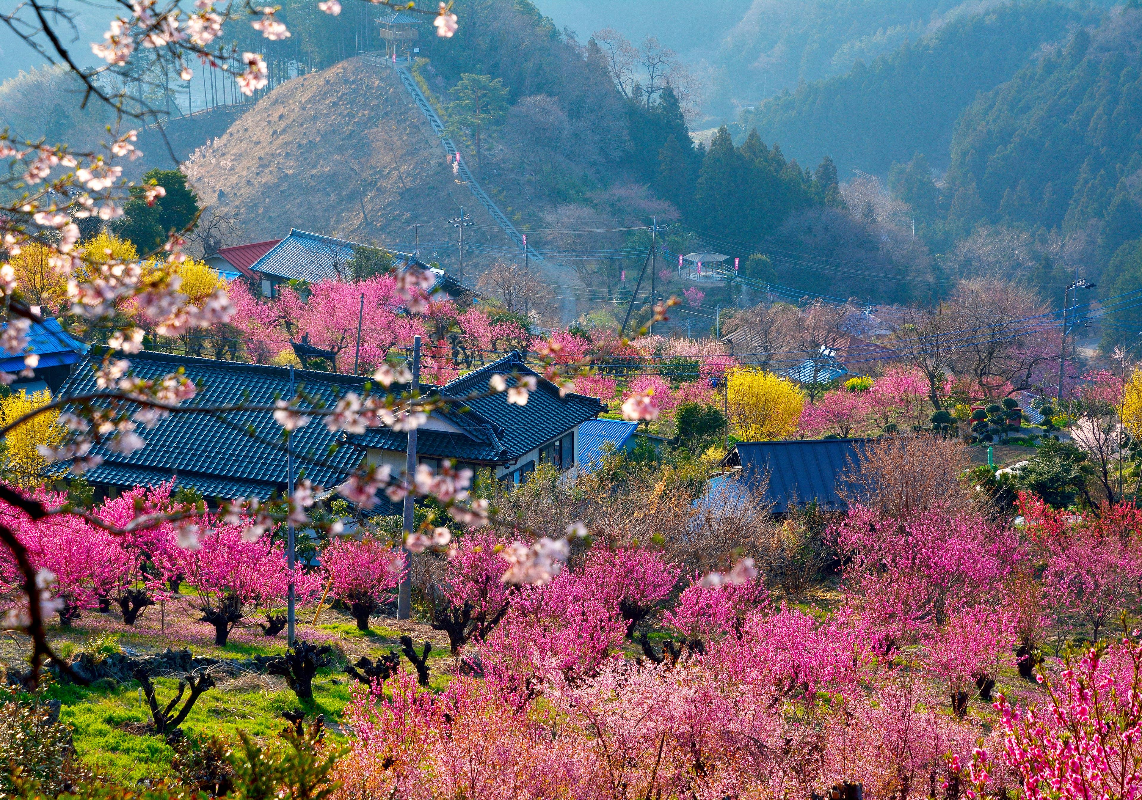 Hanamomo no Sato