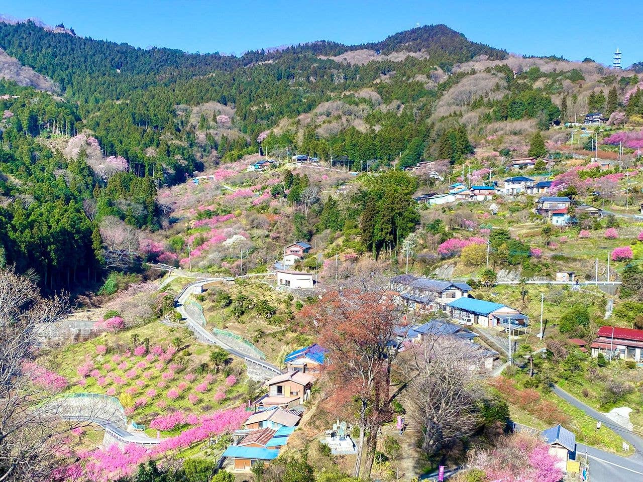 Hanamomo no Sato