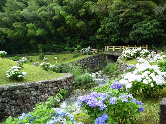 Kure Dam mountain stream park in early summer