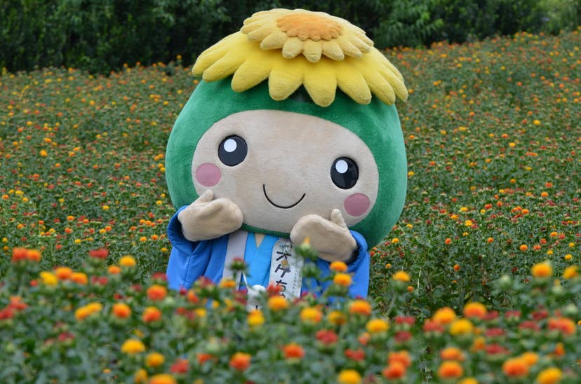 Flower