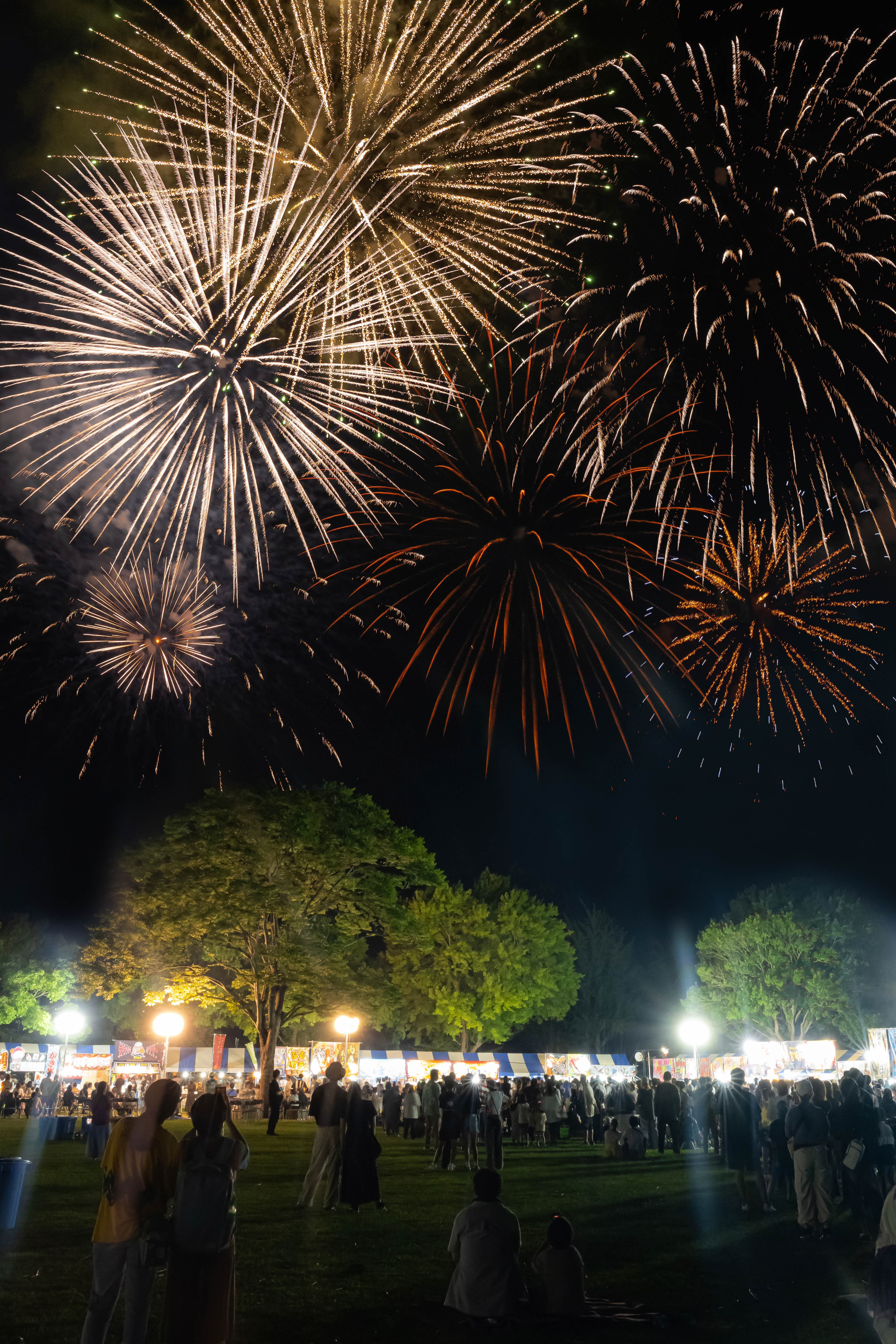 第26回ななせの火群まつり ～ エルミネスタ 2025 ～ / 大分県 -【JAPAN