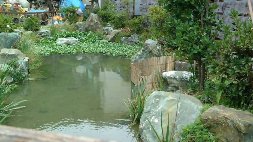 血洗い池