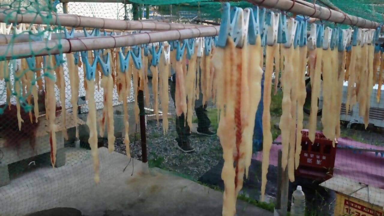 サメタレ　干しているところ