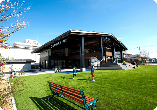 Artificial Grass Area