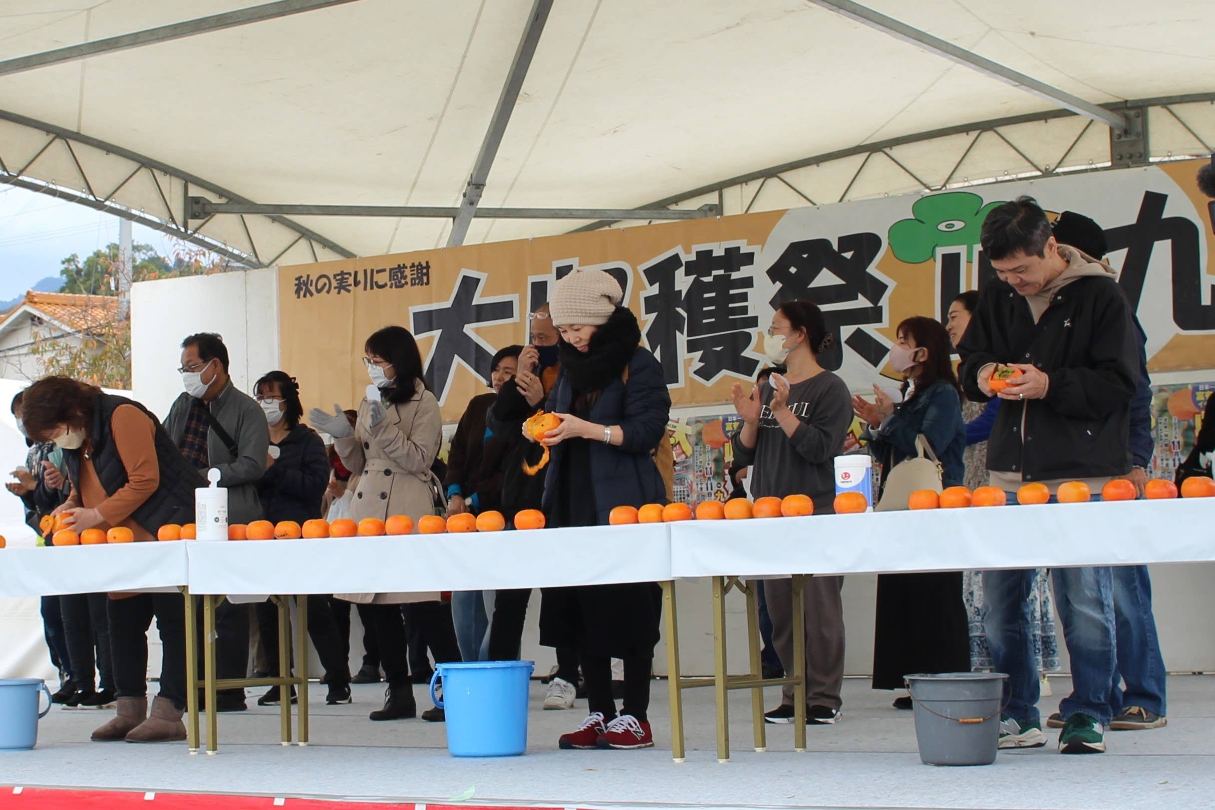Great Harvest Festival IN Kudoyama _ Peeling of persimmons