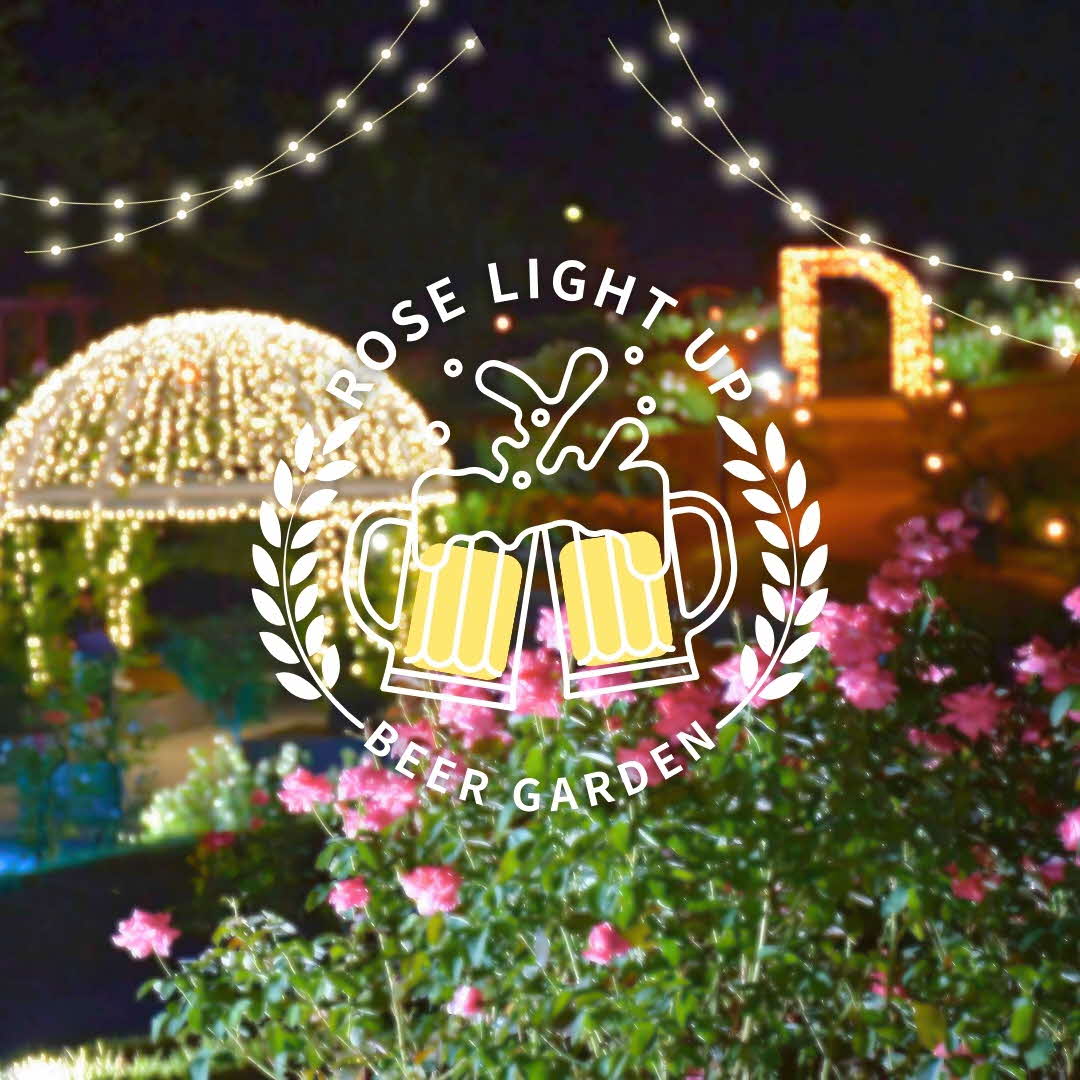 iwafu - 秋のバラまつり2025｜日本期間限定文化旅行ガイド｜深い体験と