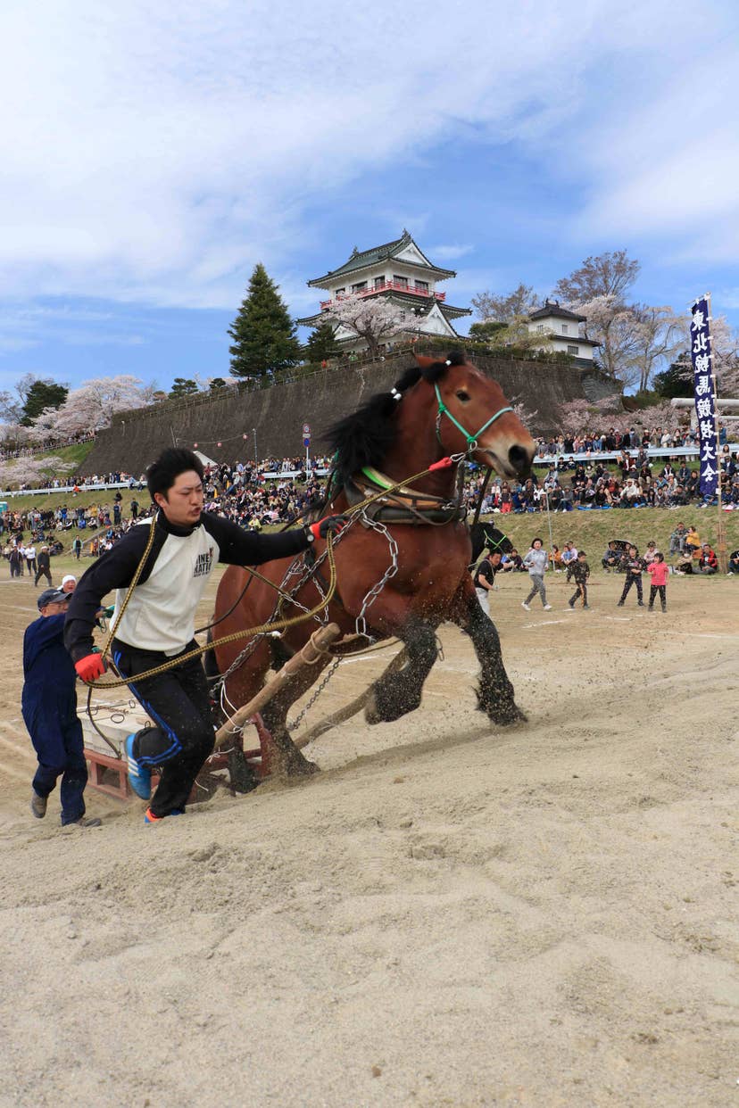輓馬大会
