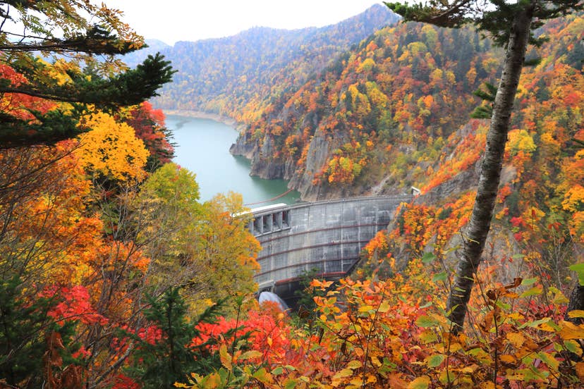 豊平峡ダムの紅葉