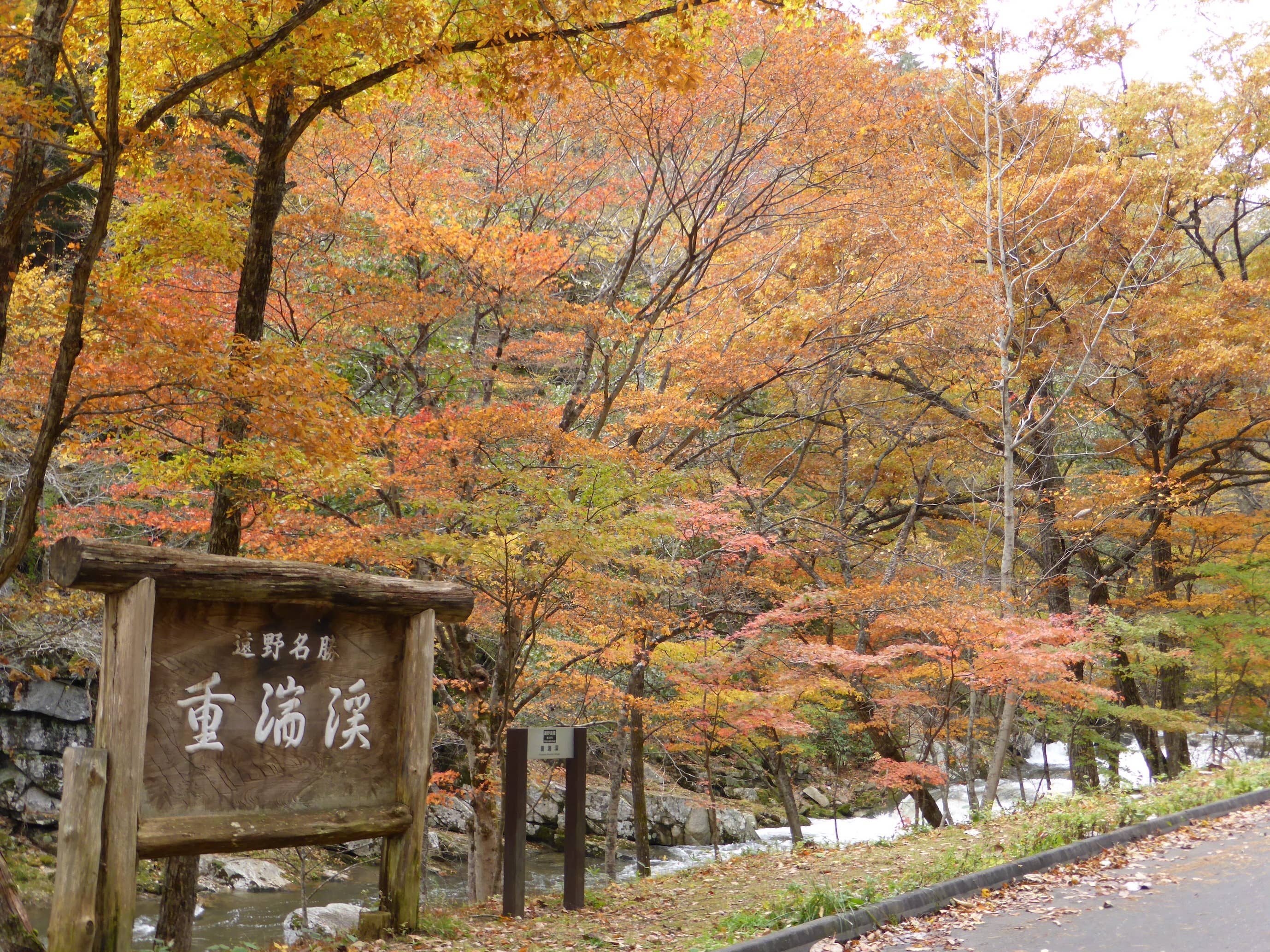 Autumn leaves in Chodankei