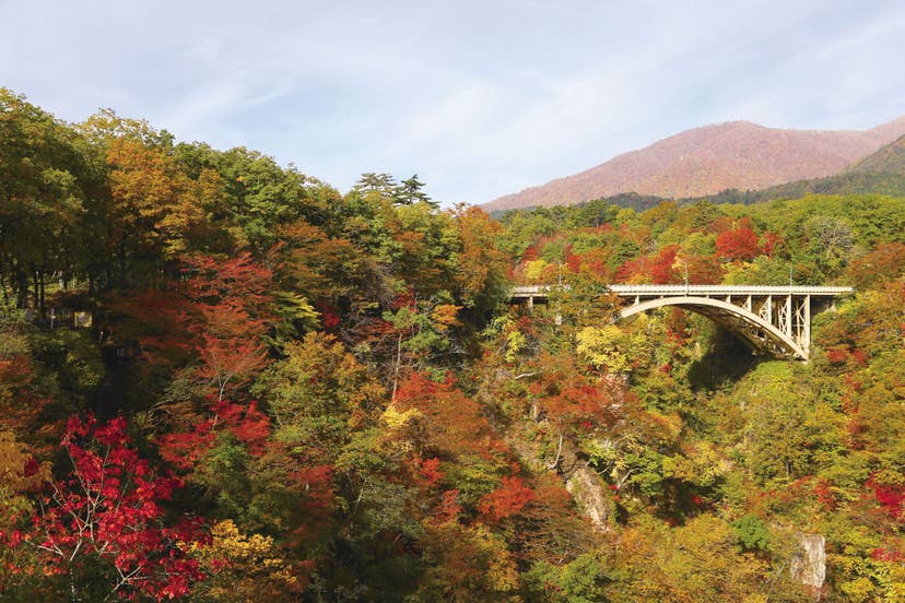 Autumn leaves in Narukokyo