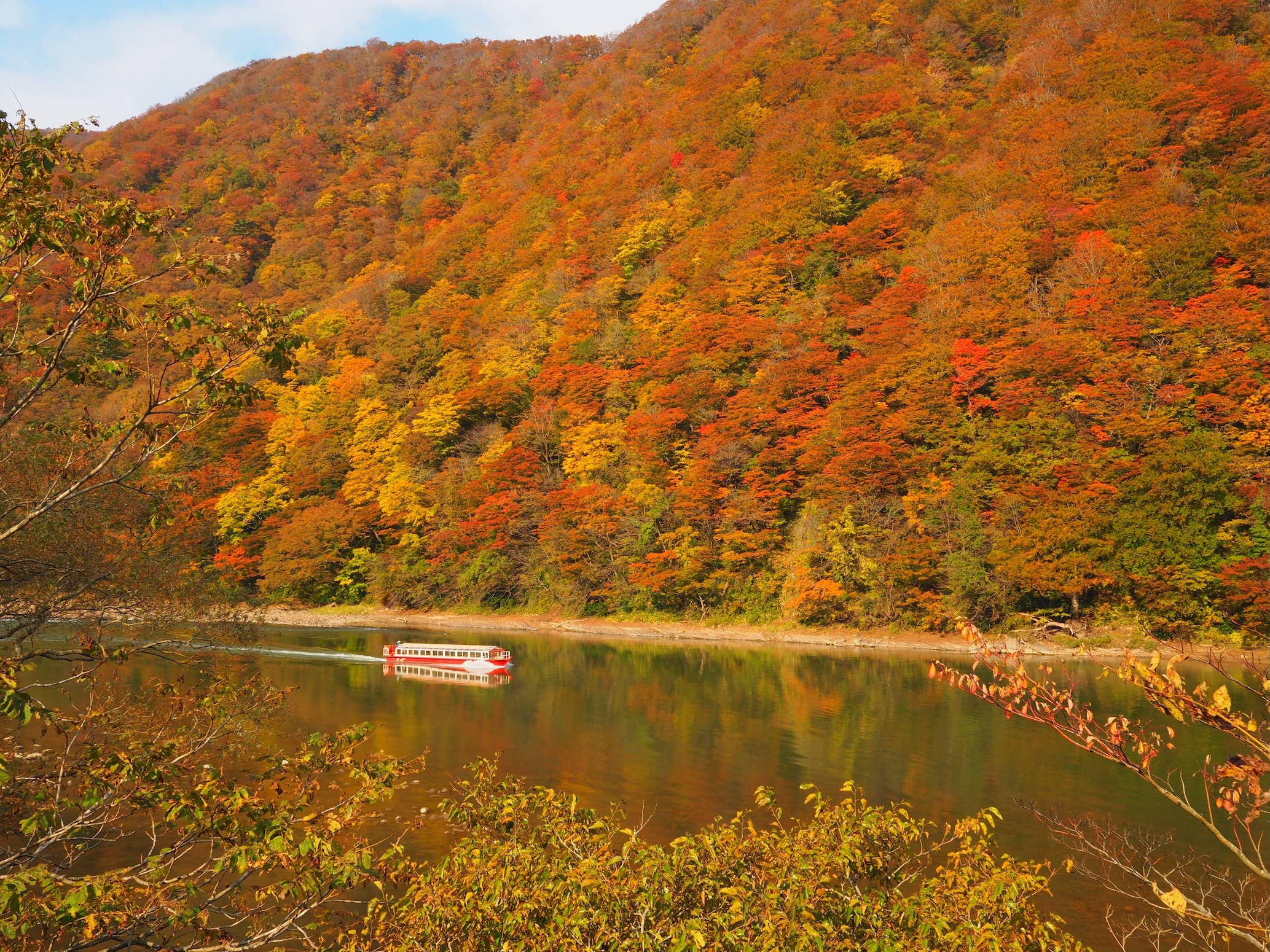 Autumn leaves of Mogami-kyo Gorge