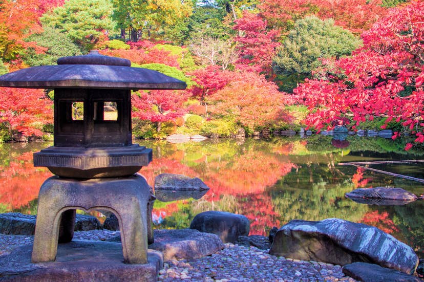 Autumn leaves in the old Furukawa garden