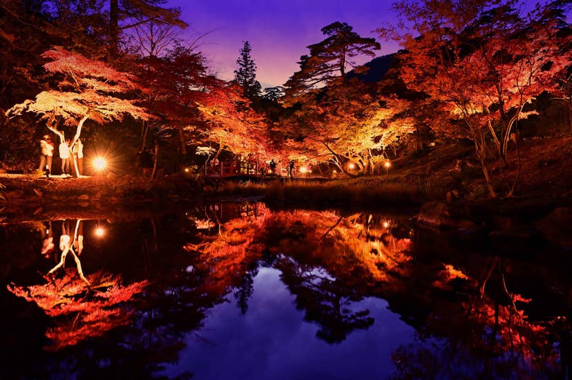 弥彦公園の紅葉
