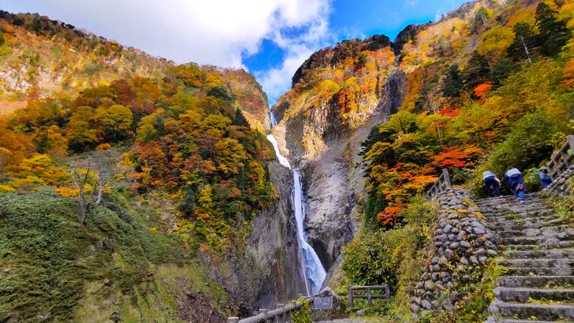 立山（称名滝：標高1,000m付近）の紅葉