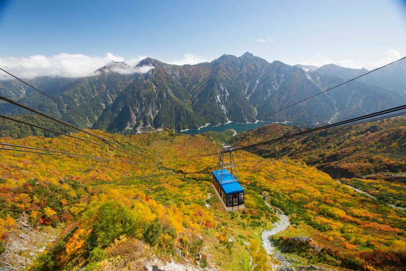 Autumn leaves in Tateyama (around Mt. Daikanbo: around 2,300 m above sea level)