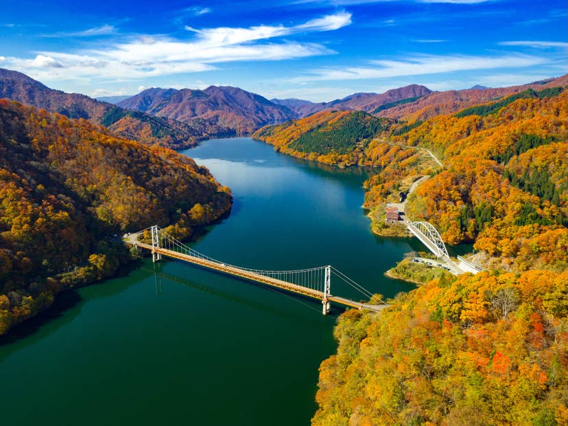 九頭竜湖の紅葉