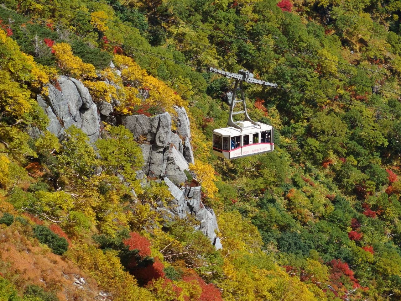 Autumn leaves of Senjojiki Karl in the Central Alps