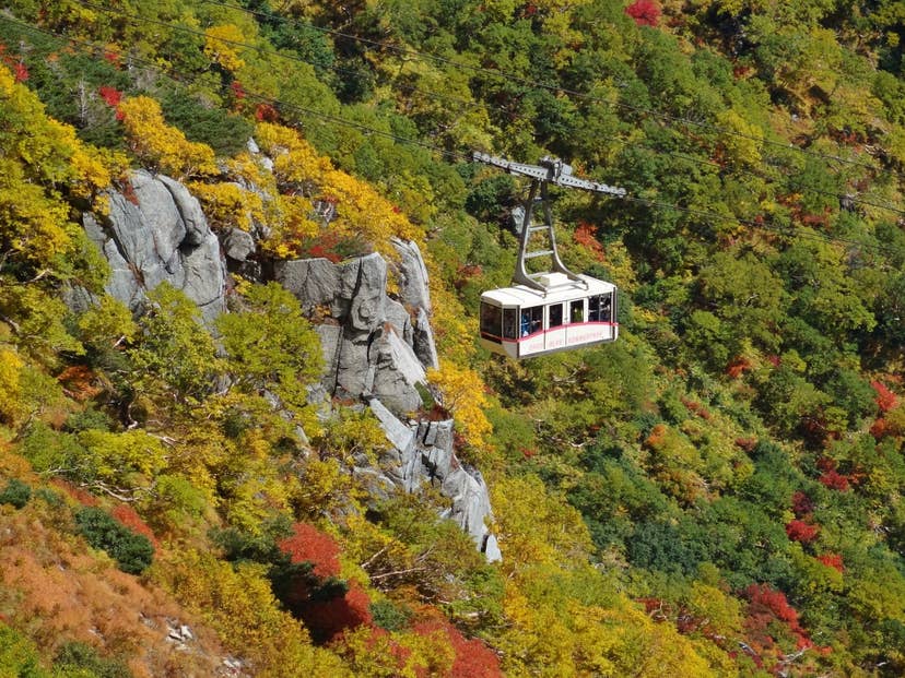 Autumn leaves of Senjojiki Karl in the Central Alps
