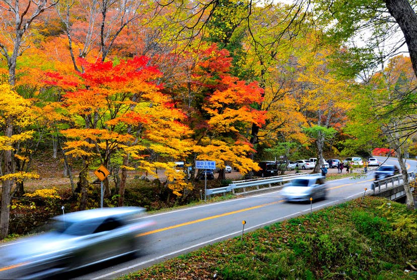Autumn leaves on Hida and Mino Seseragi-kaido Roads