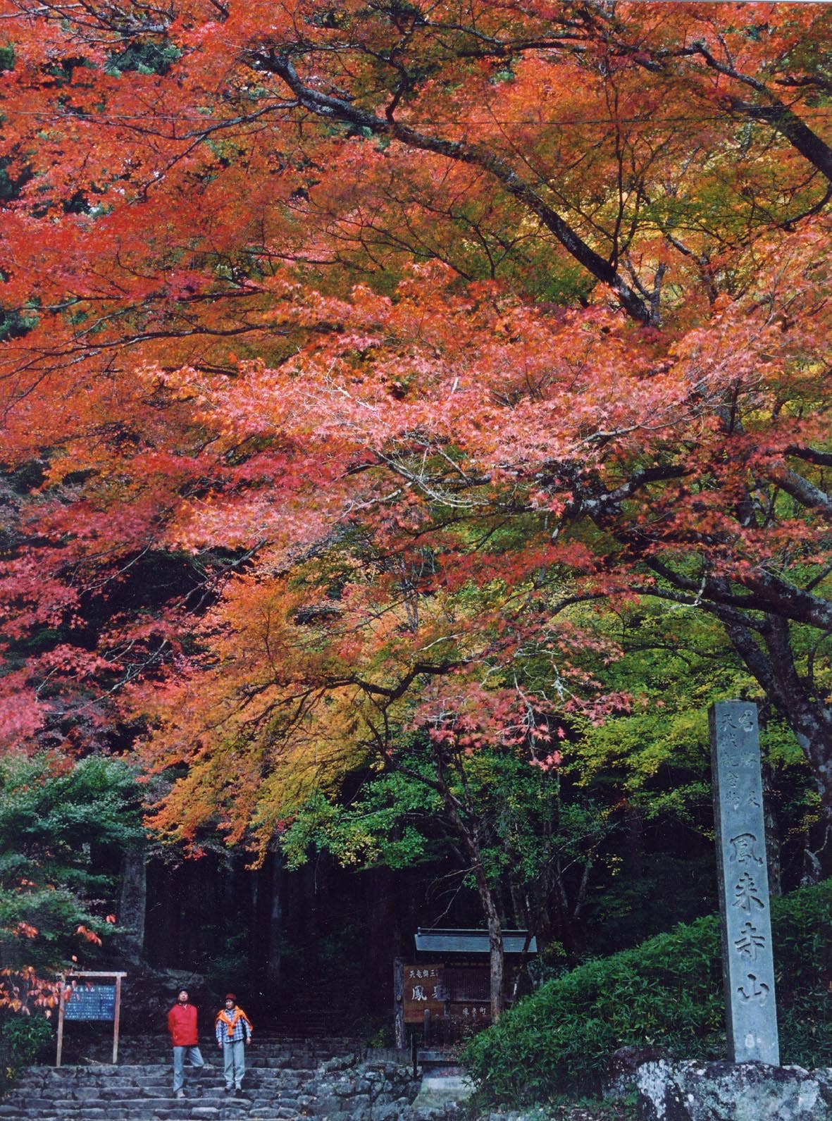 鳳来寺山の紅葉