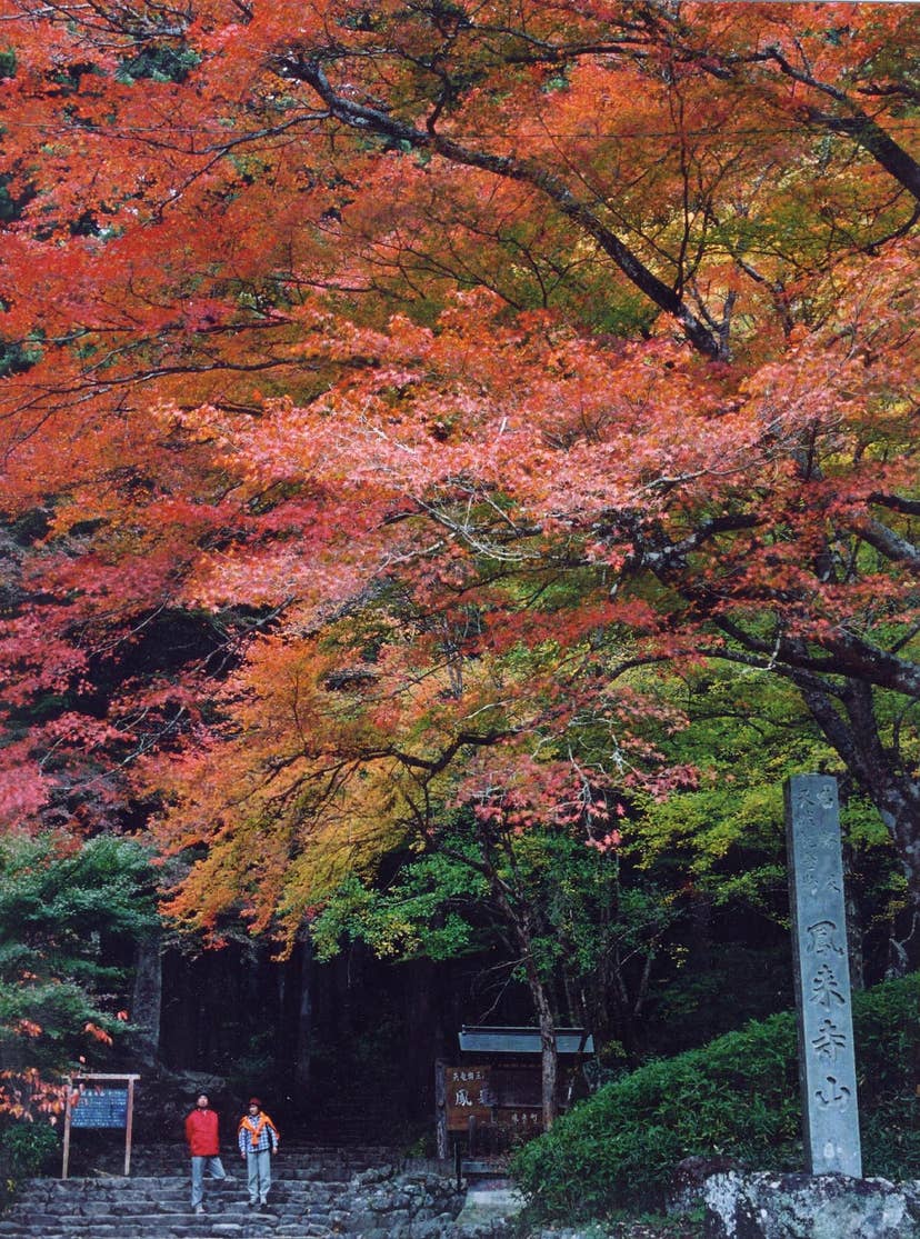 鳳来寺山の紅葉