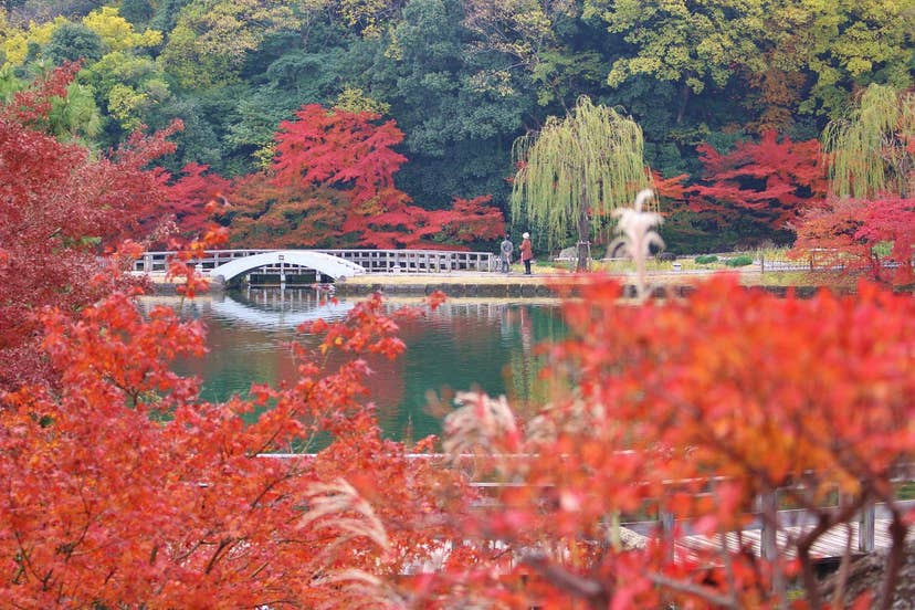 Autumn leaves in Tokugawaen