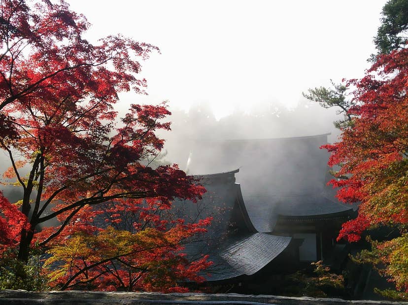 Autumn leaves in Takao (Kango-ji Temple)