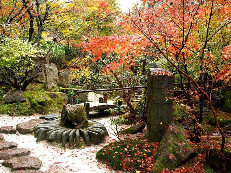 Autumn leaves of Hosen-in Temple